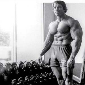 The Advanced Bodybuilder